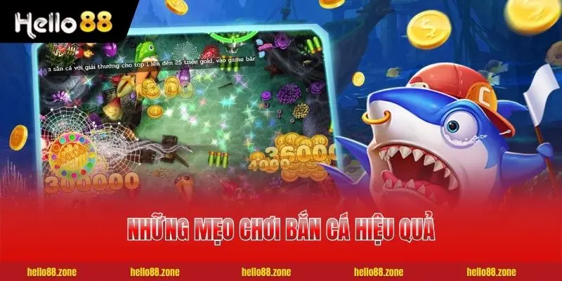 3 Mẹo Chơi Bắn Cá - Chiến Thuật Săn Boss Hiệu Quả Đạt 99% Những mẹo chơi bắn cá hiệu quả cao nhất cho hội viên