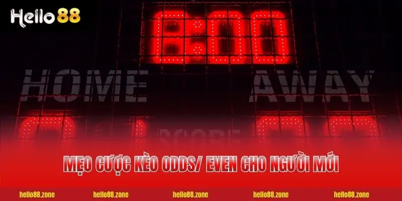 4 Cách Soi Kèo Chẵn Lẻ | Top 5 Bí Quyết Bất Bại Từ Cao Thủ Mẹo cược kèo Odds/ Even cho người mới